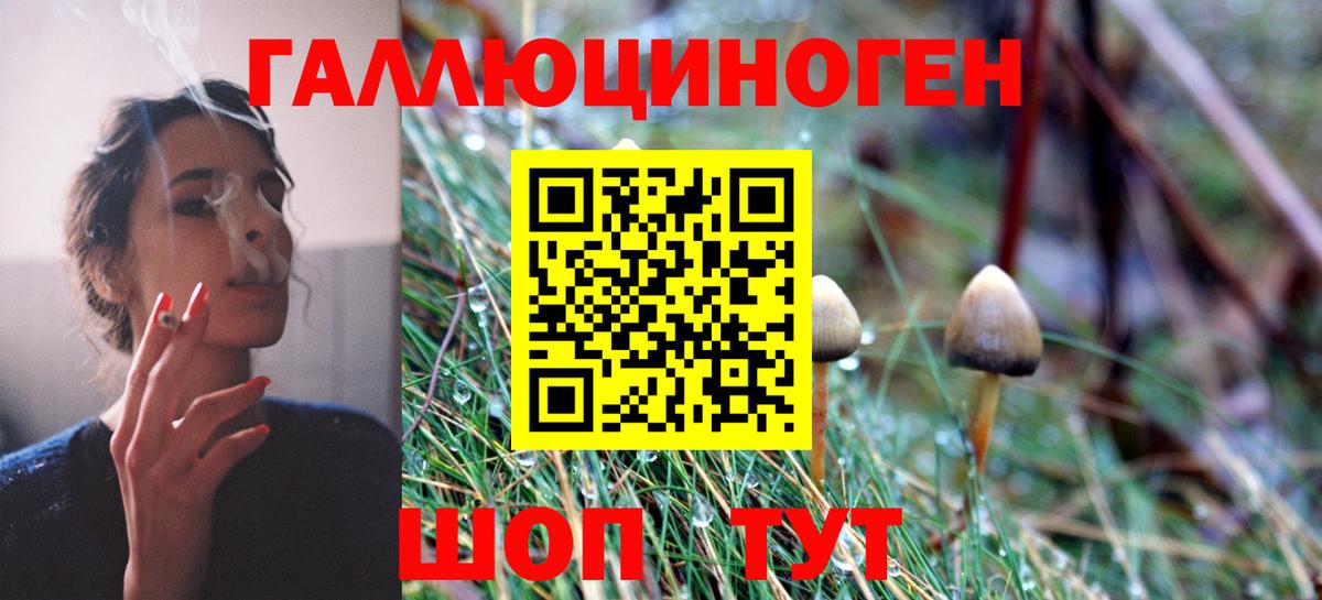 Галлюциногенные грибы мухоморы  Вход с VPN  Чистополь 